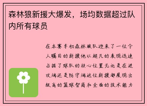森林狼新援大爆发，场均数据超过队内所有球员